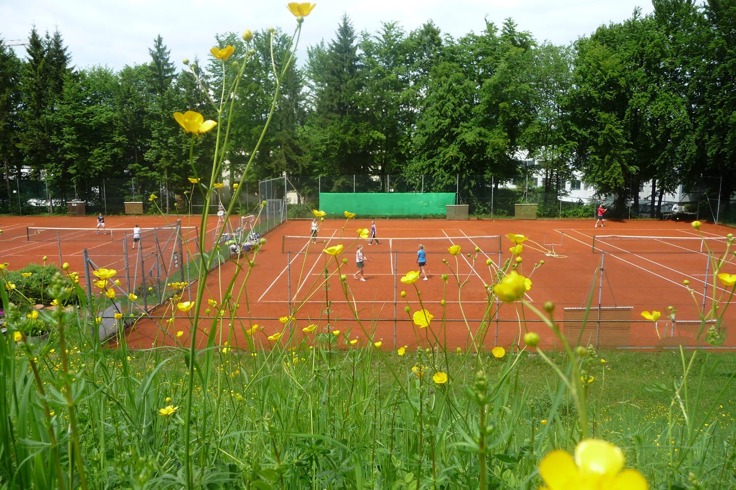 TC Ebersberg Sommeridylle