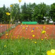 TC Ebersberg Sommeridylle