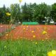 TC Ebersberg Sommeridylle