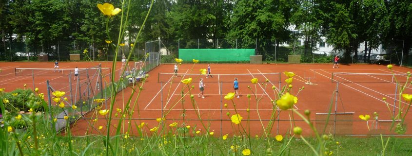 TC Ebersberg Sommeridylle